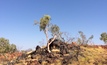 Tennant Creek gold production to restart