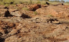  ACM is looking for lithium in the Pilbara