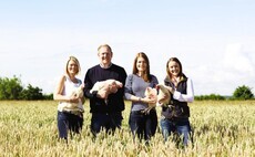 Aldi set to invest over £1bn in British egg supplies