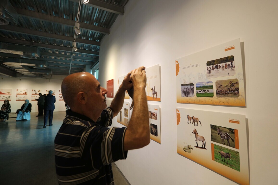 JORDAN-AMMAN-CHINESE ZODIAC CULTURE EXHIBITION