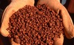  The higher royalty rate on bauxite exports set more than a decade ago will still apply in Queensland