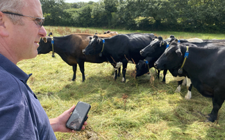 Cornish farm adopts EID tech to improve herd management