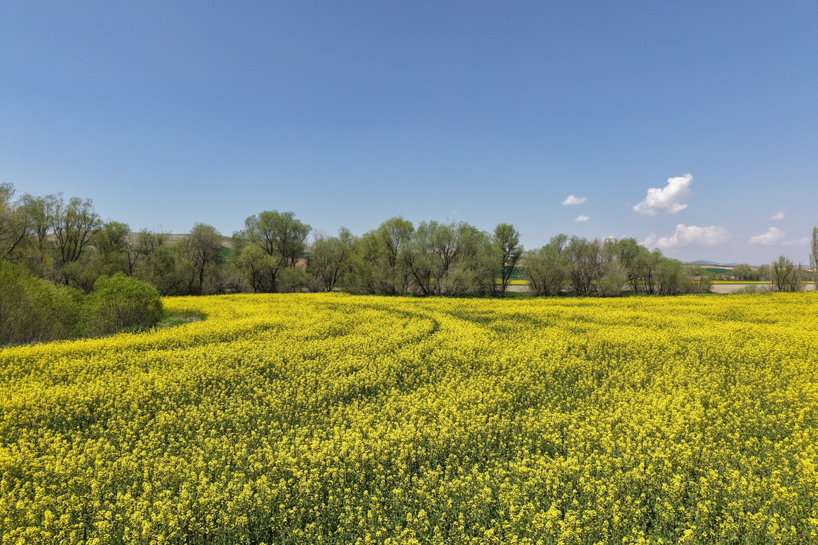 TRKIYE-ANKARA-FARMERS-MIDEAST TENSIONS