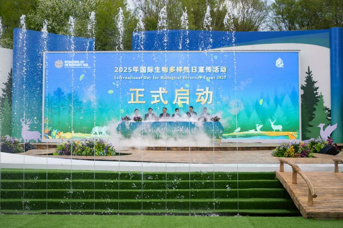EcoChina | International Day for Biological Diversity Event 2025 kicks off in NE China's Heilongjiang