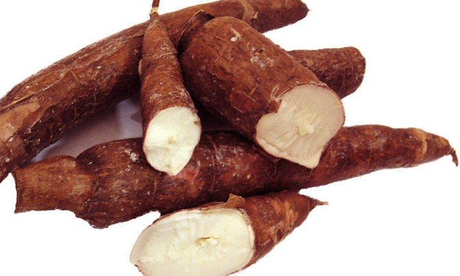 One dead, four admitted after eating poisonous cassava One dead, four admitted after eating poisonous cassava