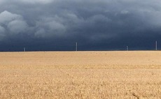 Localised storms flatten crops