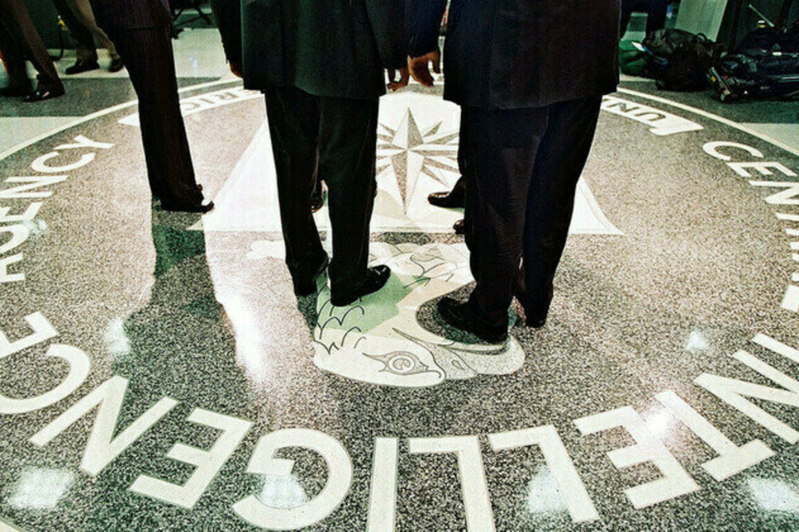 Top CIA analyst behind Russiagate loses her job  Economist