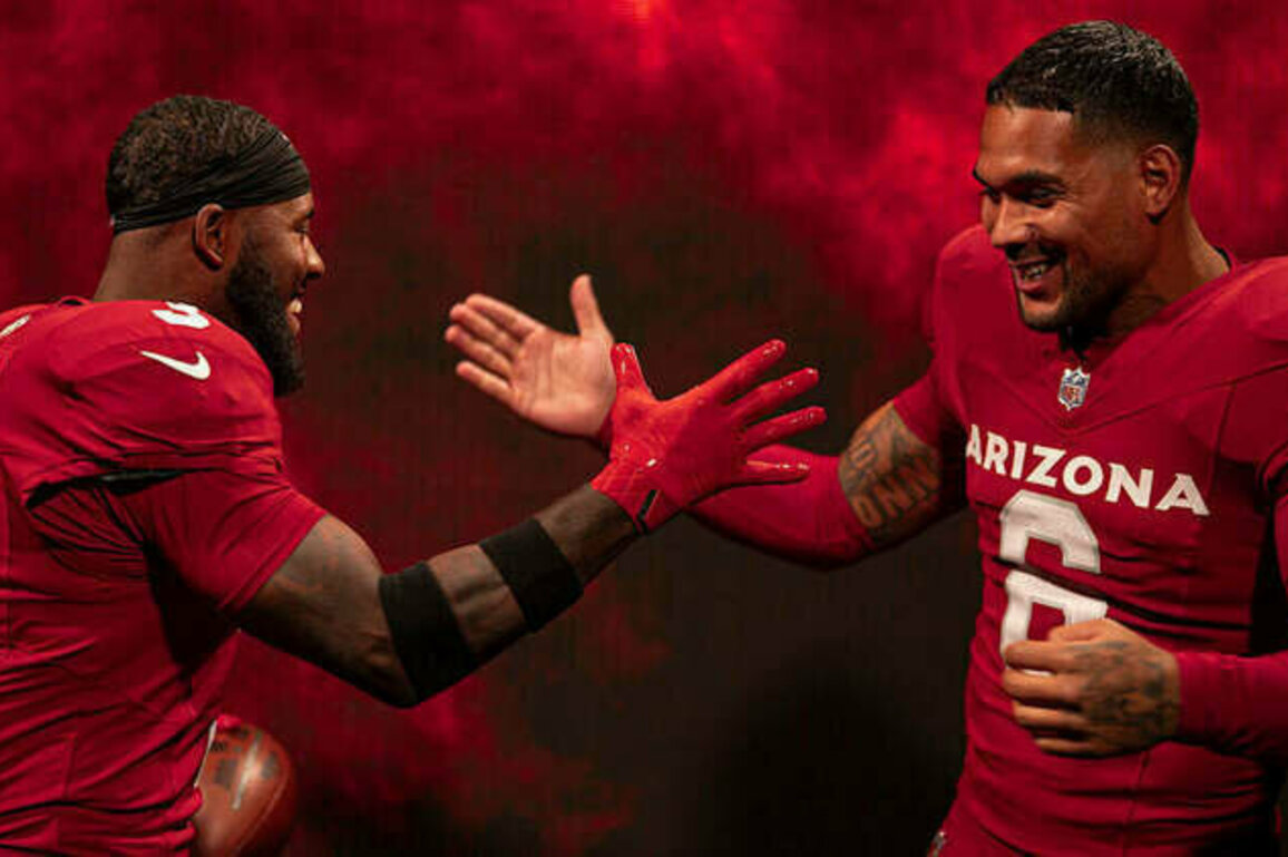 Cardinals Name Captains For 2025 Season