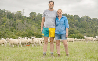 Introducing strategies to combat challenging conditions on Sussex sheep farm