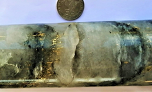  Visible gold in core from recent Abujar drilling