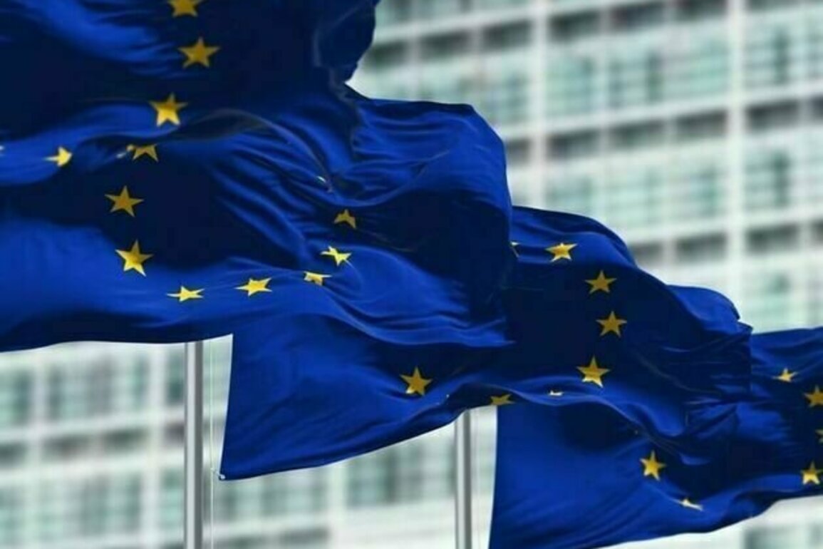 EU sets out International Digital Strategy