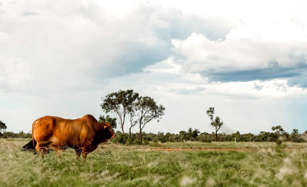 Maronan says silver can unlock significant copper-gold resource