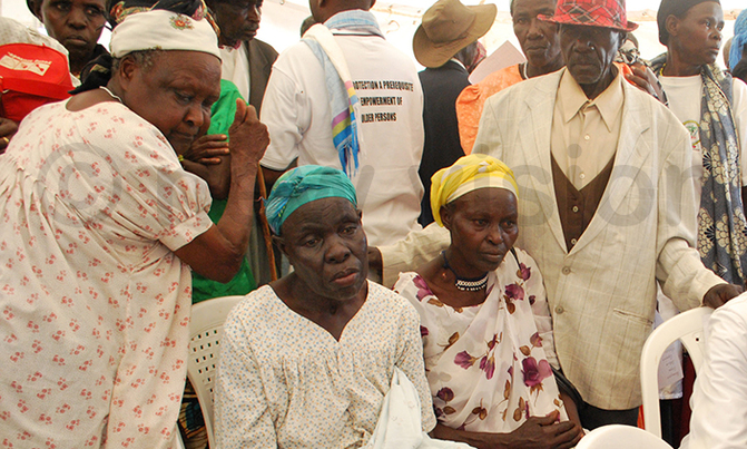 Govt to introduce care program for all the elderly Govt to introduce care program for all the elderly