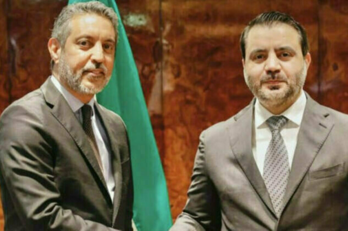 Libya supports Syrias sovereignty and territorial integrity