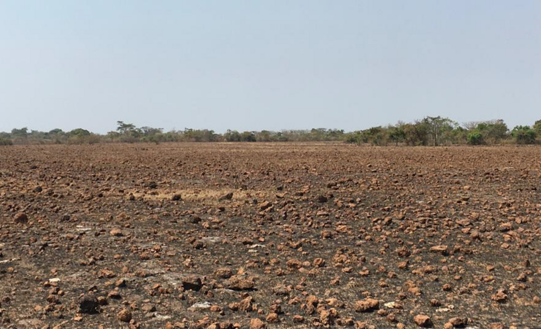 Minim Martap, Cameroon