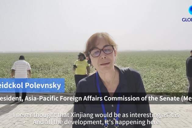 GLOBALink | Prosperity and smiles: How global lawmakers see Aksu in Xinjiang