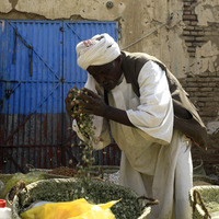 SUDAN-DONGOLA-MARKET-RAMADAN-PREPARATIONS