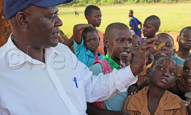 Locusts excite Iganga pupils Locusts excite Iganga pupils