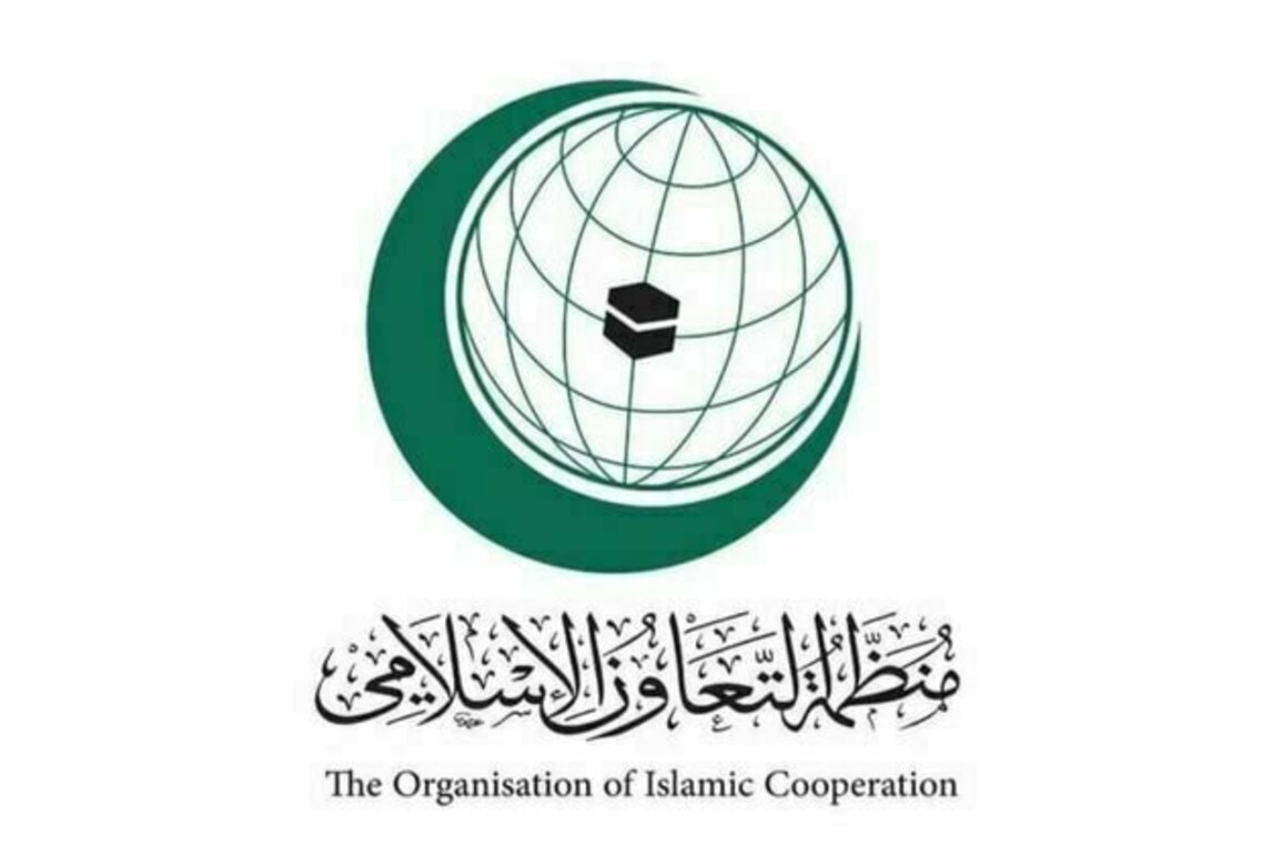 OIC welcomes ceasefire agreement between Pakistan, Afghanistan
