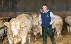 Cumbrian young farmer making his mark with pedigree cattle 