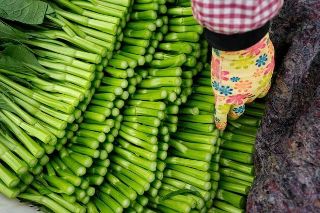 China's fresh produce finds favor in Central Asian market