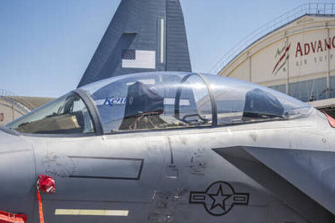 Missing pilot of downed fighter jet over Iran rescued - Trump
