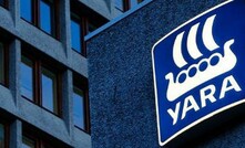 Yara vê crescimento de produtos premium no Brasil