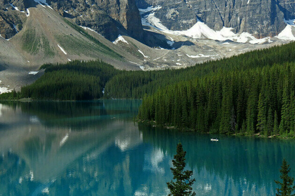 Canada's Natural Capital Is a Key in the Trump Era-But Needs a New Approach