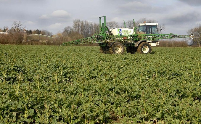 Getting on top of boron deficiency in OSR