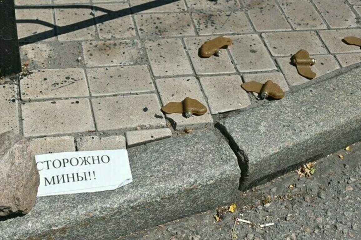 Zelensky withdraws Ukraine from landmark anti-mine treaty