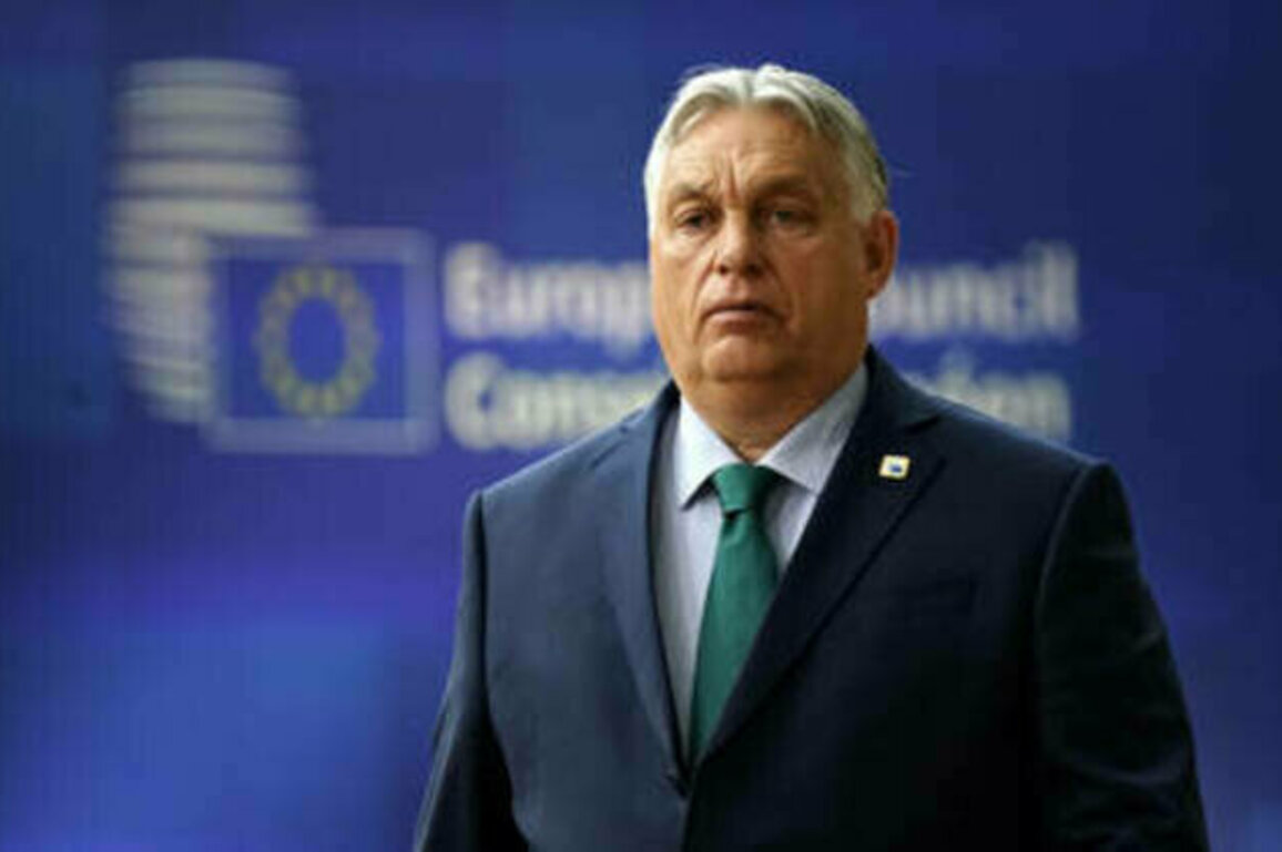 EU can't override Hungary's veto on Ukraine - German state media