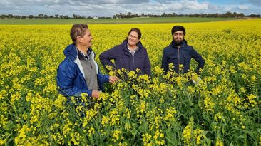 Corrigin Farm Improvement Group’s Executive Officer Joy Valle (centre) stands in a canola crop at the Kweda field site in 2024 with Soil CRC and Murdoch University Emeritus Professor, Dr Richard Bell (left), and Soil CRC researcher Dr Hassan Sardar.