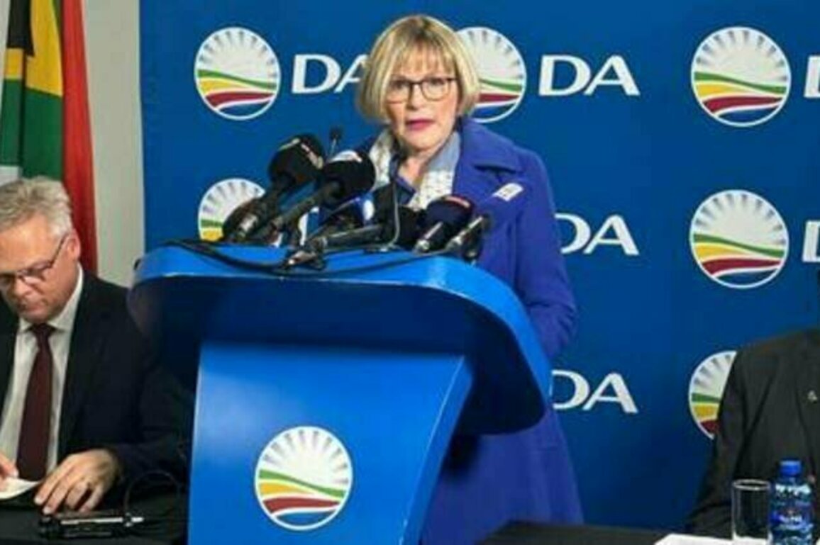 'Racial laws' driving investors out of South Africa - party