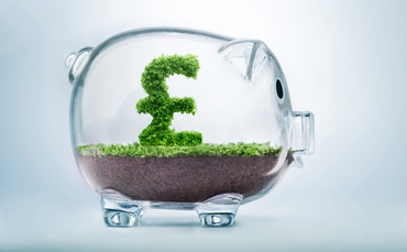 EU-driven government schemes are 'cannibalising' sovereign green bond projects - Vimarsana News