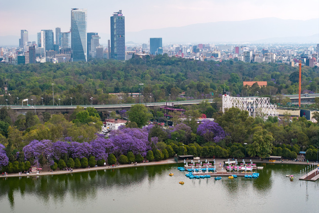 Spring in purple: aerial footage of Mexico City