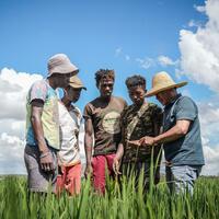 Feature: Sowing seeds of hope -- Chinese agronomist's 18-year dedication to Madagascar's rice dream