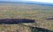 Northern suffers on East Kimberley acquisition