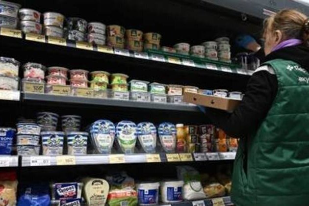 Domestic demand driving Russia's economic growth - minister