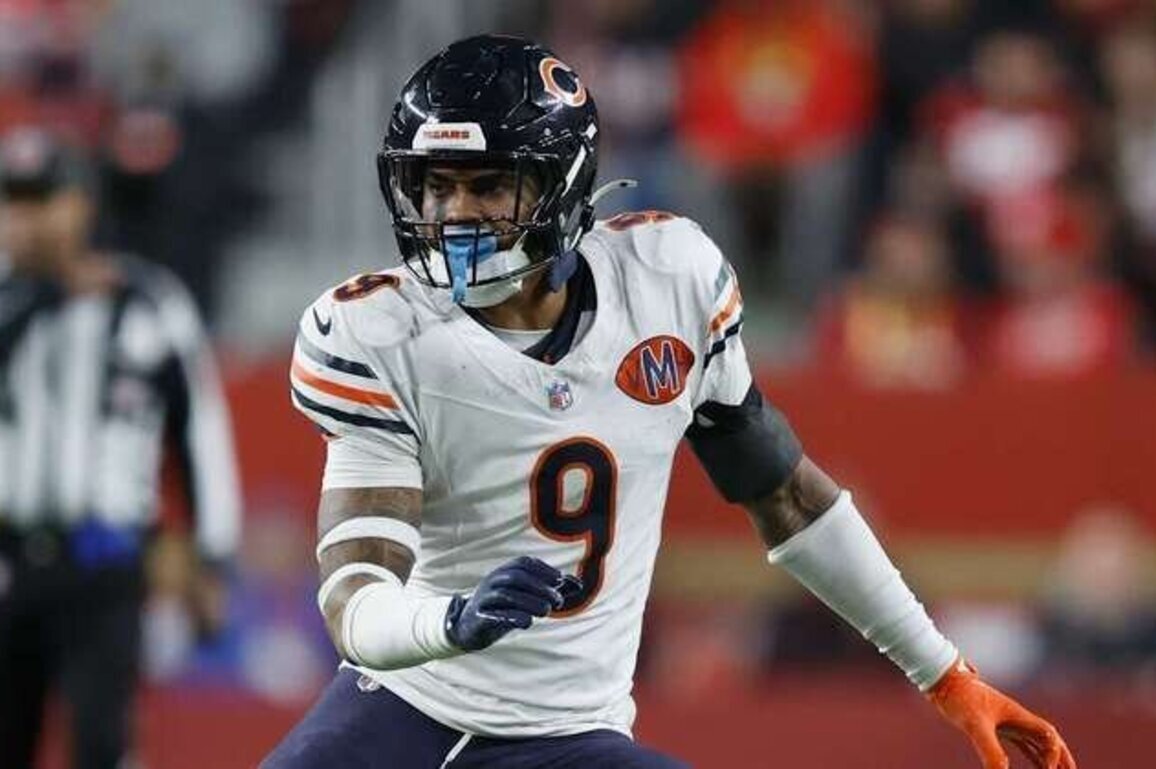 For newest Steelers, versatility is the name of the game