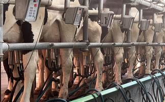 Less powerful spring flush helps milk prices