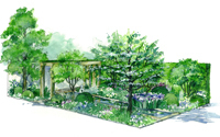 Gold for RHS Chelsea Flower Show design 