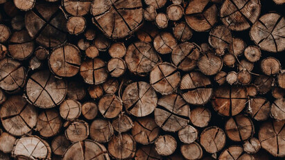 Preferred by Nature and iov42 launch 'Timber Chain'  to improve transparency and efficiency across timber commodity supply