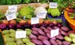 Vegetables tipped to trend in 2014 forecast