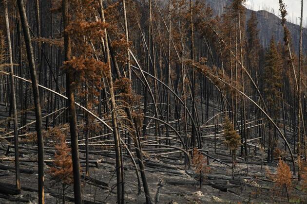 Believe NASA - human-caused climate change fueling larger wildfires (Letters)
