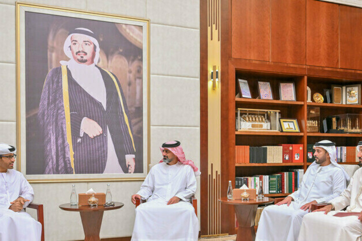 Ajman Crown Prince receives UAE Cybersecurity Council Head