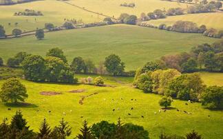 Labour promises to transfer 'power from Westminster to rural communities'