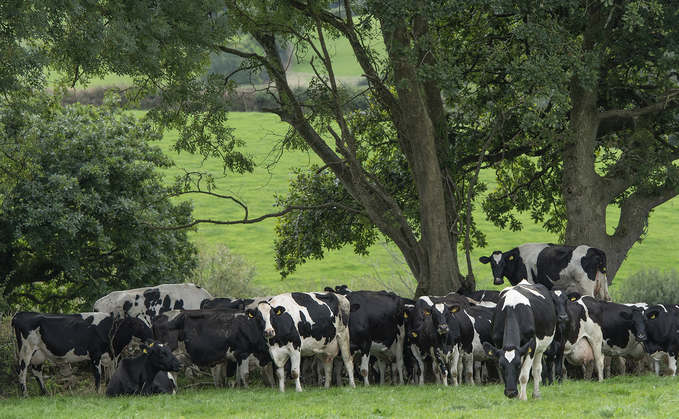 Livestock farmers have expressed dismay at 'sustained' attack from media outlets