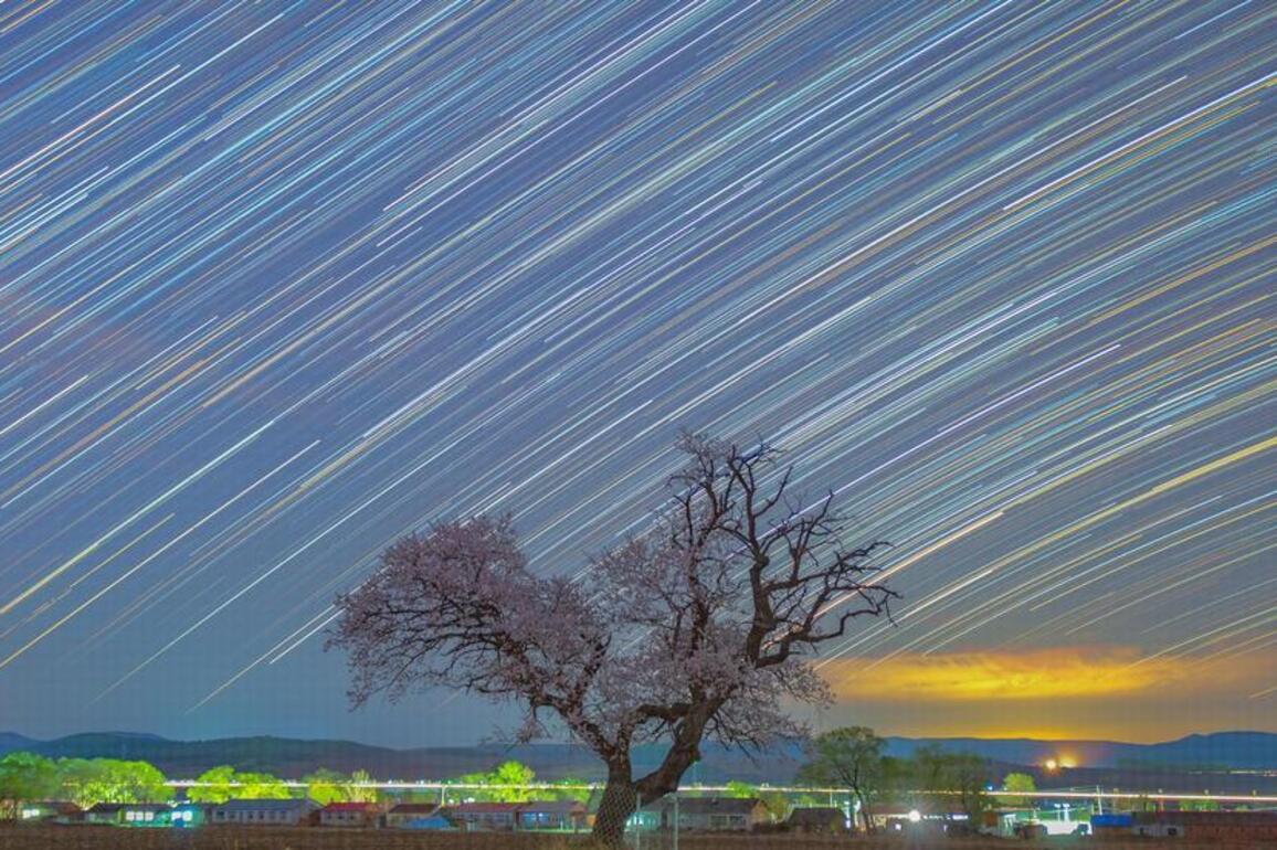 InPics | Enchanting starry sky over blooming flowers in NE China's Heilongjiang
