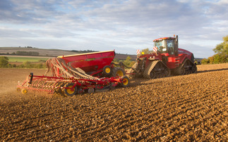 How a new novel wheat concept can extend growers' autumn drilling window