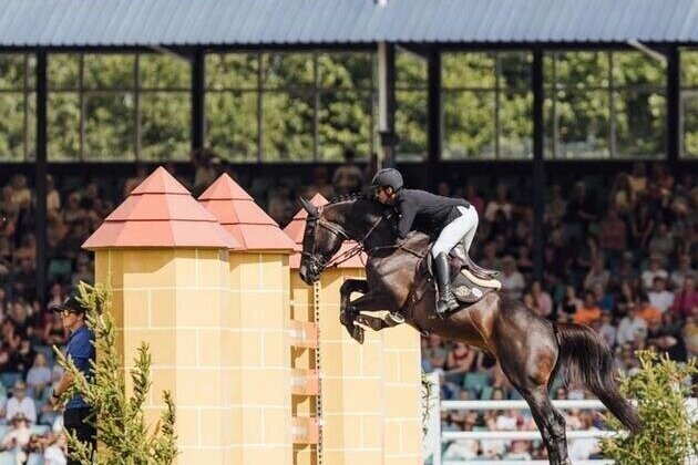 UAE participates in FEI World Championships